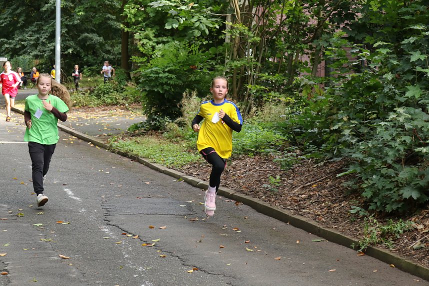 Nordh&auml;user Schulcrosslauf im Gehege