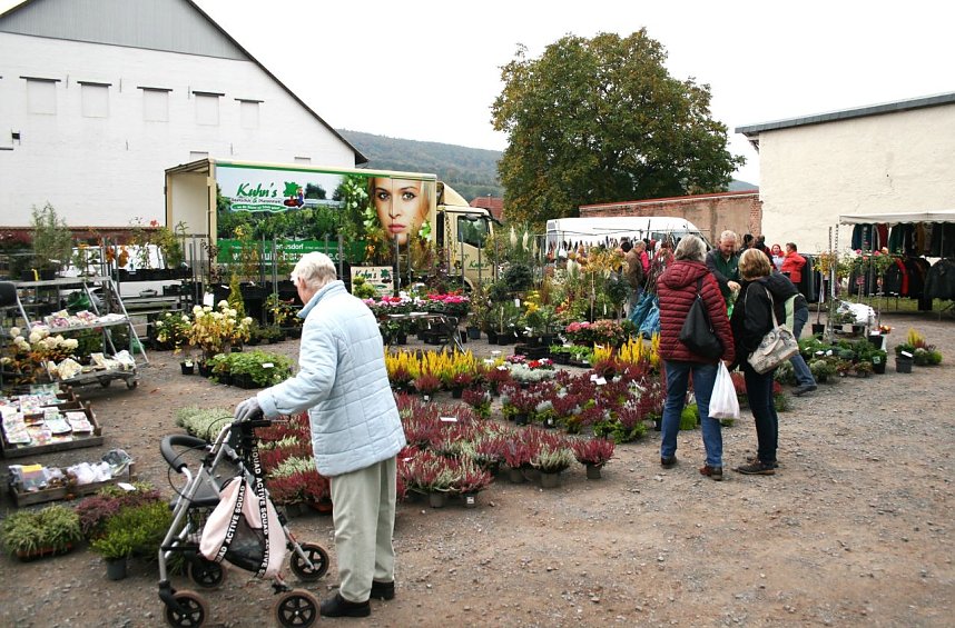 Bauernmarkt in Kelbra