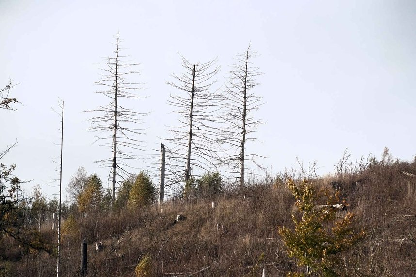 Sonntagswanderung an der Hassel-Vorsperre