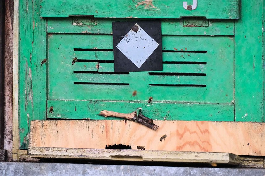 Sonntagswanderung an der Hassel-Vorsperre