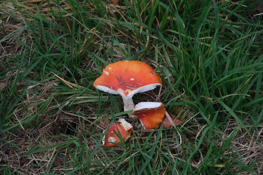 Sonntagswanderung an der Hassel-Vorsperre