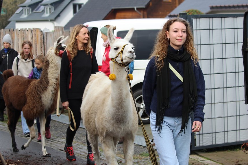 Unterwegs mit den Unstrut Lamas aus Herbsleben