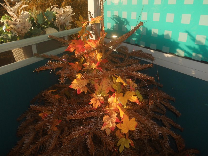 Ein Baum f&uuml;r alle Jahreszeiten