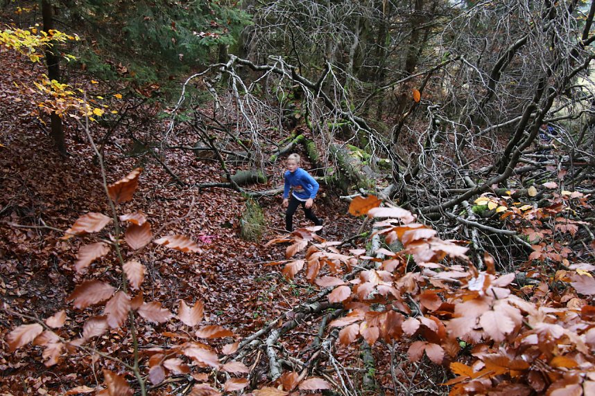 1. Hindernislauf am Harzer Hexenbesen