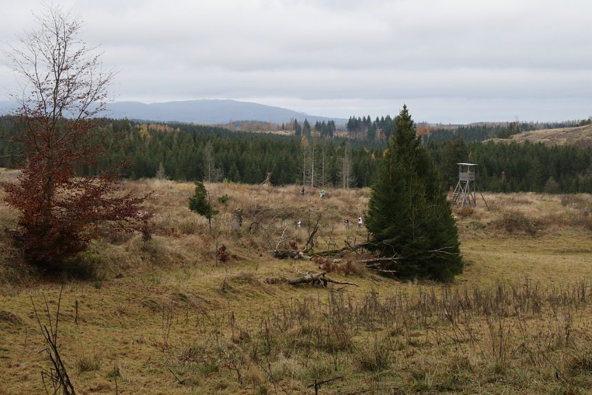 1. Hindernislauf am Harzer Hexenbesen