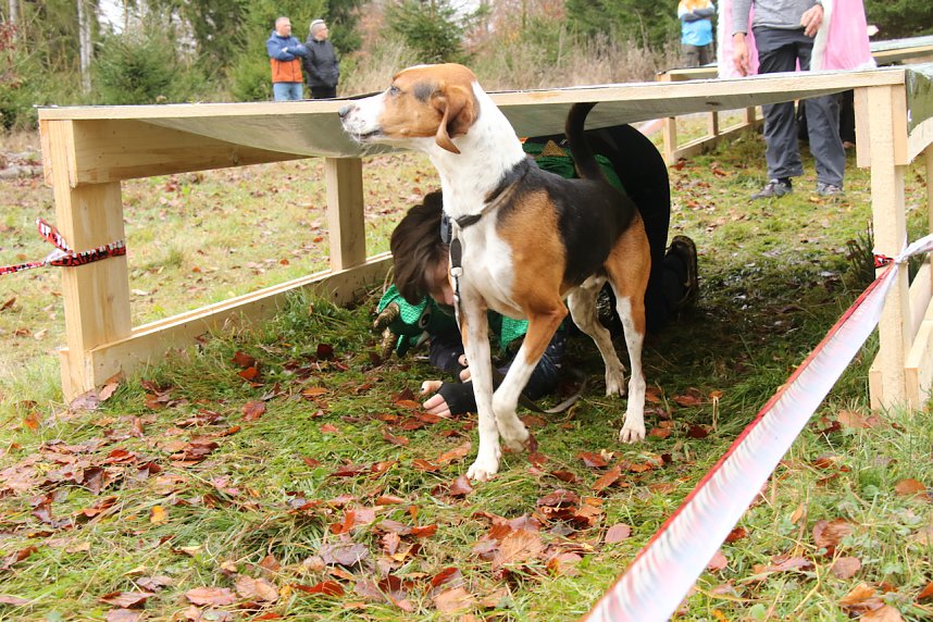 1. Hindernislauf am Harzer Hexenbesen