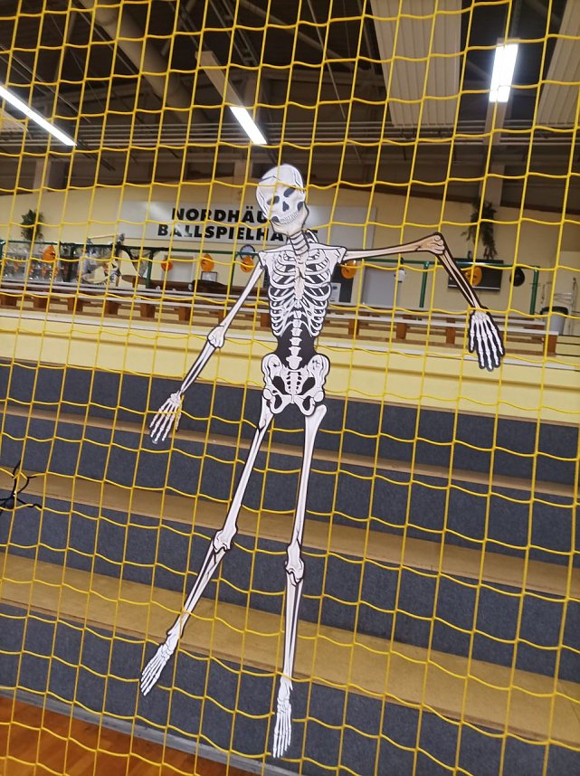 Viel zu tun f&uuml;r die Handballer des NSV