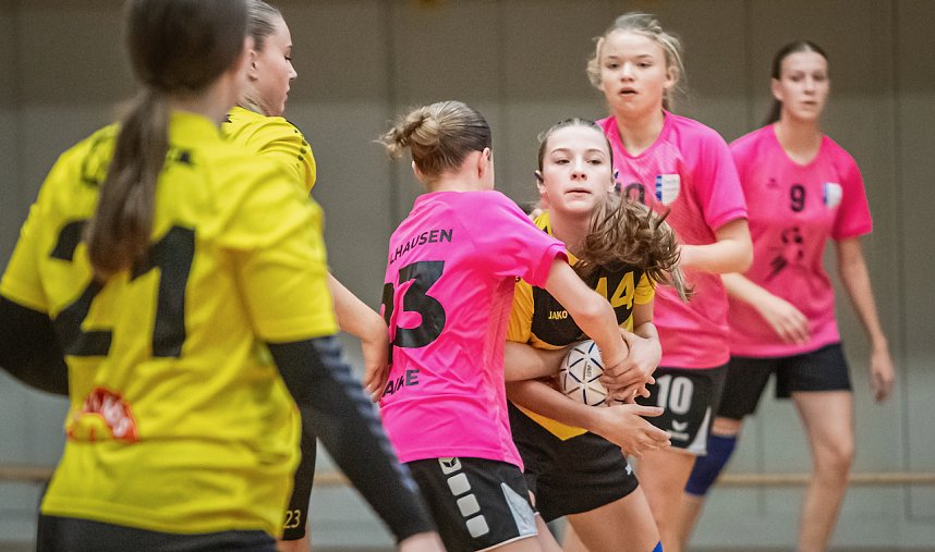 Viel zu tun f&uuml;r die Handballer des NSV