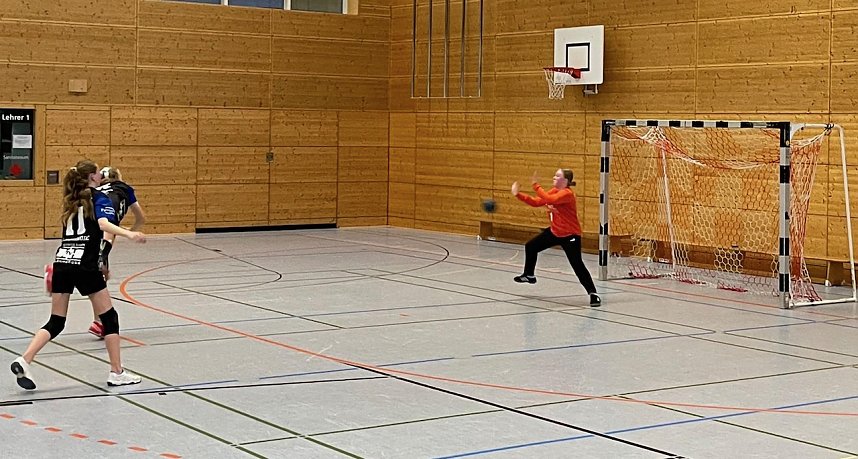 Viel zu tun f&uuml;r die Handballer des NSV