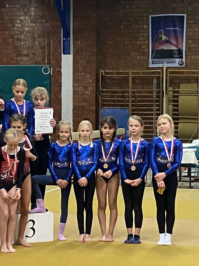 Der TSV Nachwuchs bei den Mannschaftsmeisterschaften im Ger&auml;teturnen