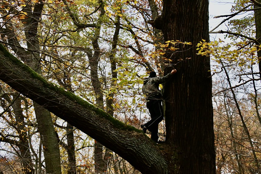 Artistik zwischen Baum und Borke - im Park Hohenrode lud man zu einem k&uuml;nsterlischen Waldspaziergang