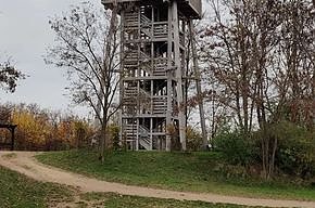 Benefizwanderung am Geiseltalsee