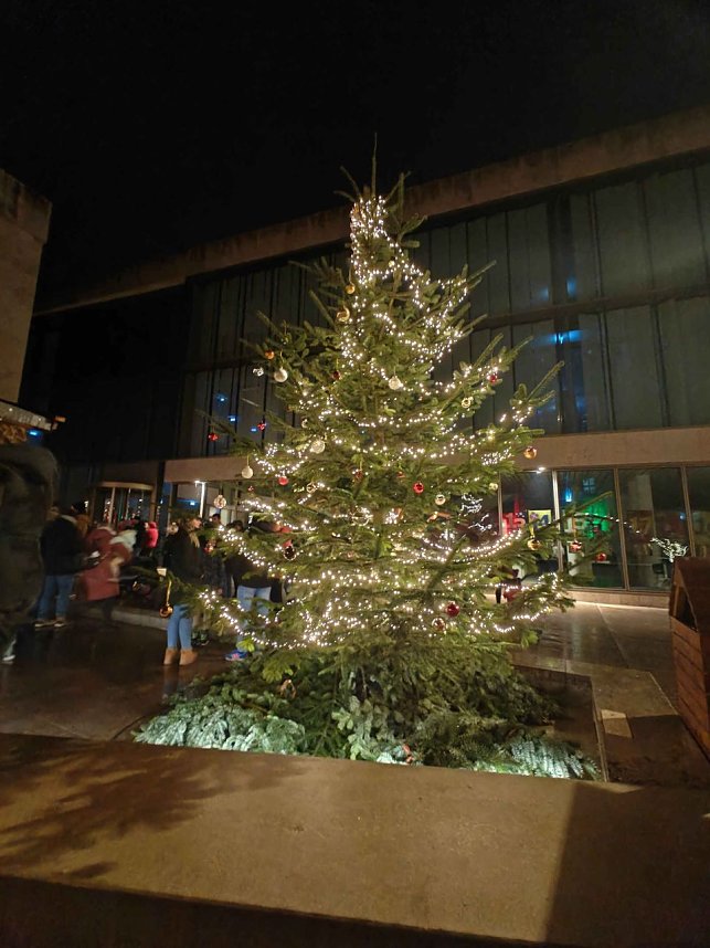 T&uuml;rchen 22 wurde vom Nordh&auml;user Tierheim pr&auml;sentiert