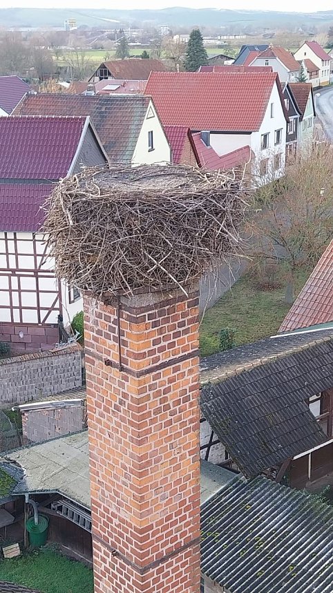 Sanierungsarbeiten am Storchennest in Winderhausen