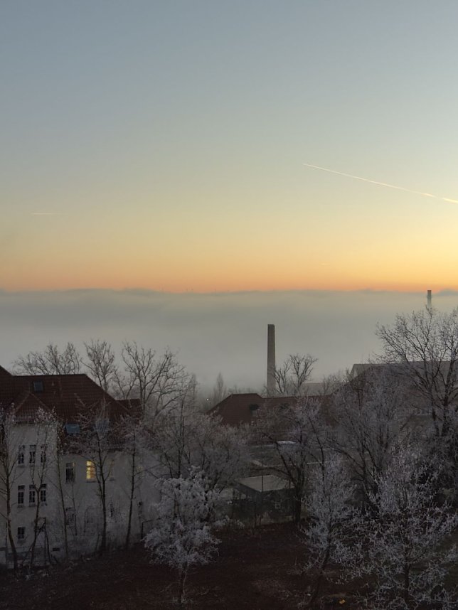 Mystische Natur regt Phantasie an 