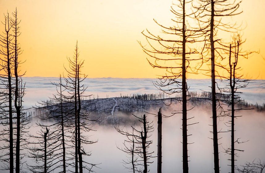 Humboldt-Klassenfahrt im Schnee