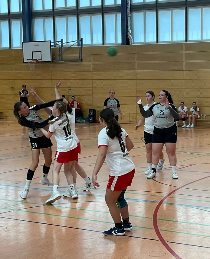 Schwerer Spieltag f&uuml;r die NSV Handballer