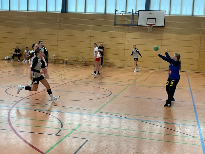 Schwerer Spieltag f&uuml;r die NSV Handballer