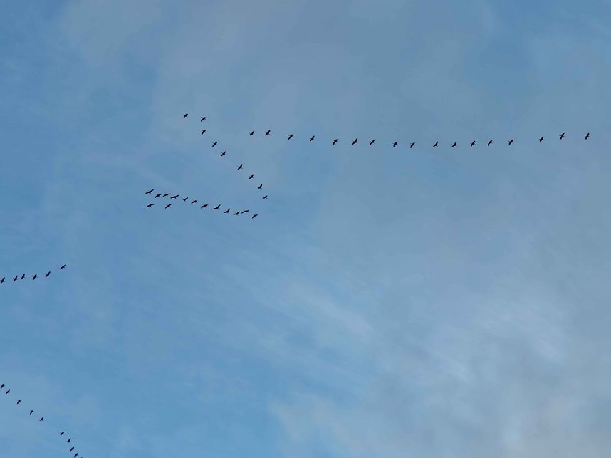 Die ersten Vorboten des Fr&uuml;hlings