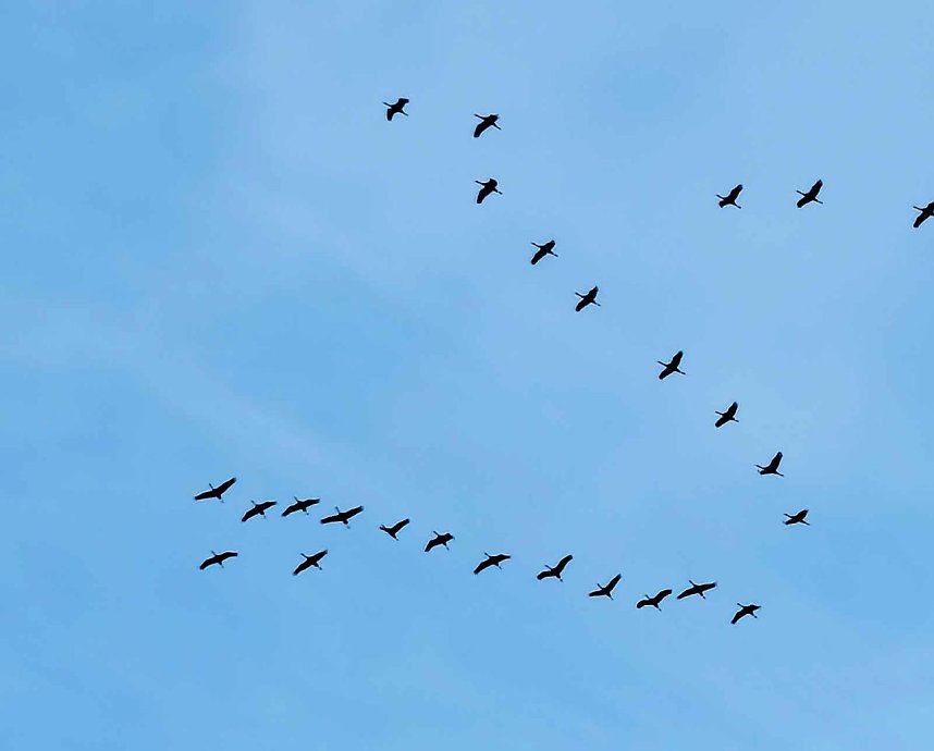 Die ersten Vorboten des Fr&uuml;hlings