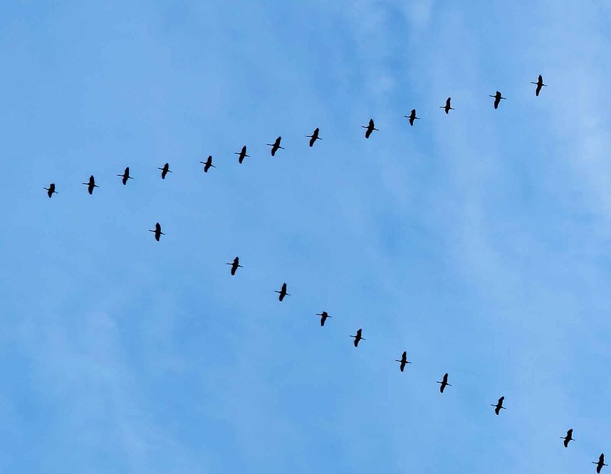 Die ersten Vorboten des Fr&uuml;hlings