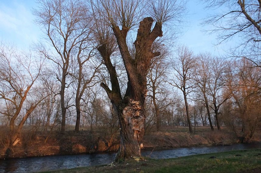 Peter unterwegs am Kiesschacht