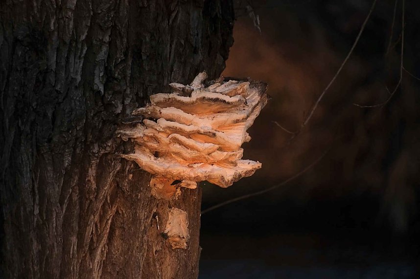 Peter unterwegs am Kiesschacht