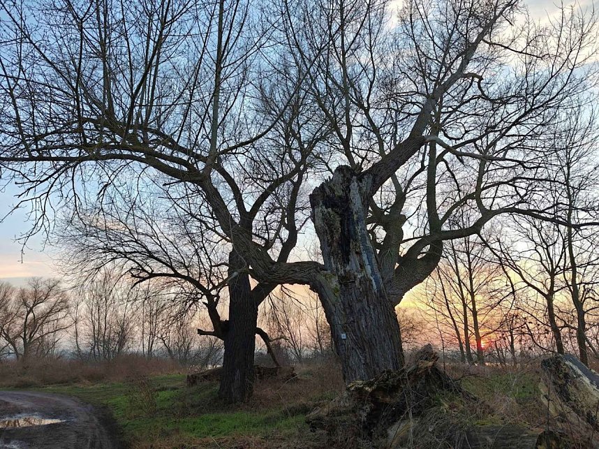 Peter unterwegs am Kiesschacht