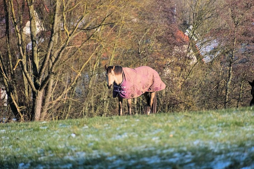 Unterwegs in der kalten Windl&uuml;cke