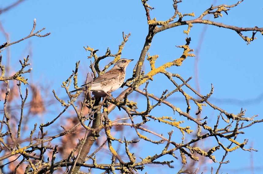 Unterwegs in der kalten Windl&uuml;cke