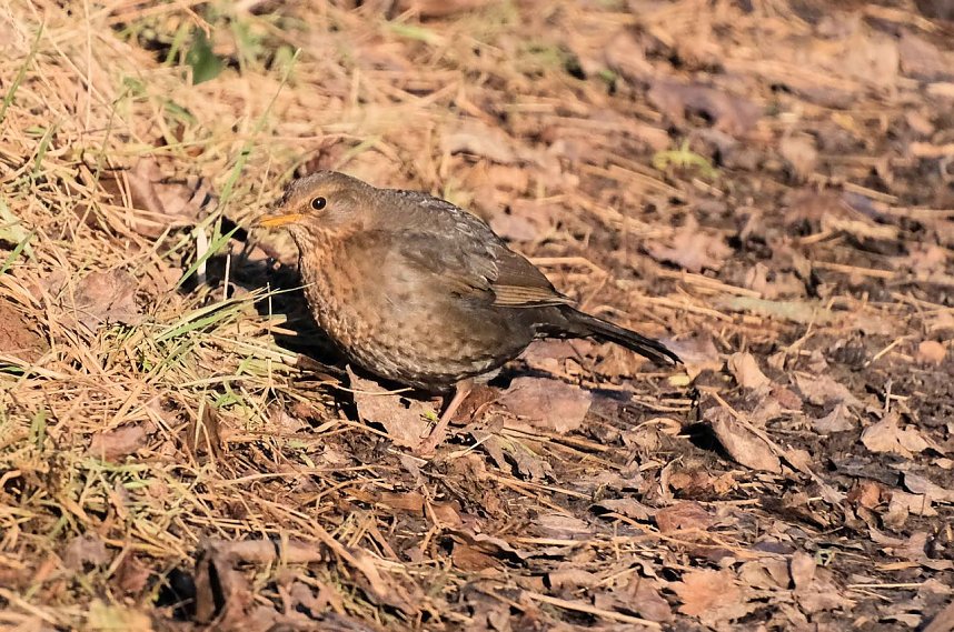 Unterwegs in der kalten Windl&uuml;cke