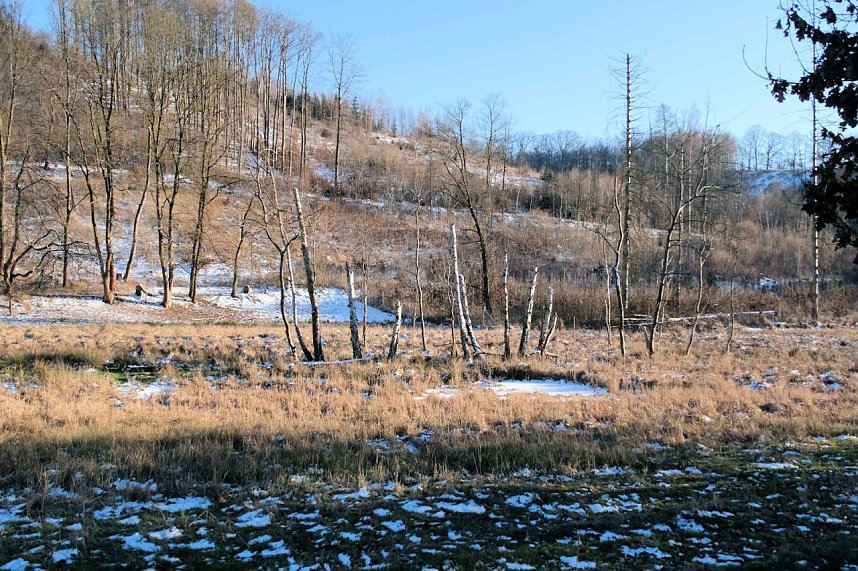 Unterwegs in der kalten Windl&uuml;cke