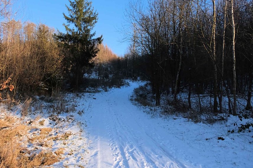 Unterwegs in der kalten Windl&uuml;cke