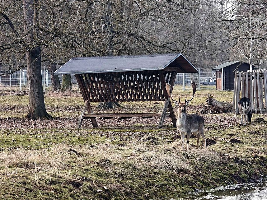 Fr&uuml;hlingsvorboten im Stadtpark und im Park Hohenrode