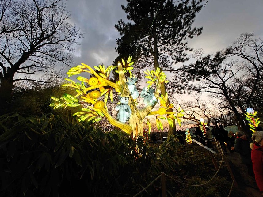 Magische Lichterwelten in Halle