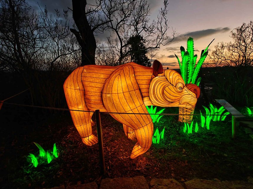 Magische Lichterwelten in Halle