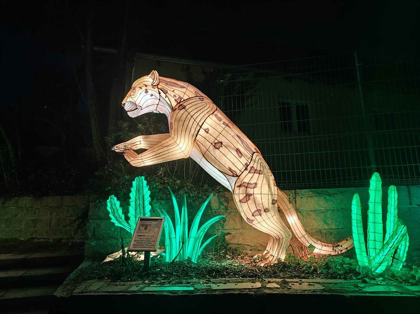 Magische Lichterwelten in Halle
