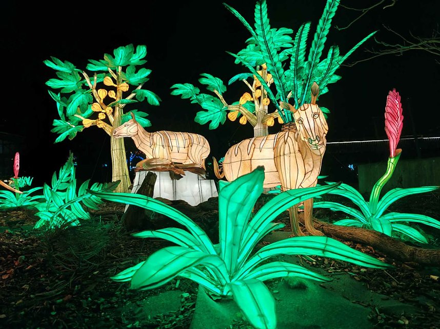 Magische Lichterwelten in Halle