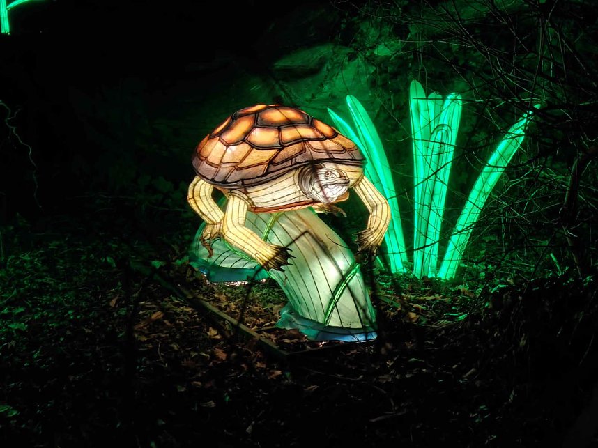 Magische Lichterwelten in Halle