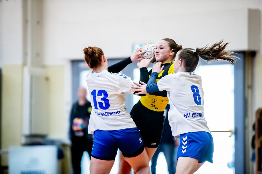 Durchwachsenes Handballwochenende f&uuml;r die Nordh&auml;user Mannschaften