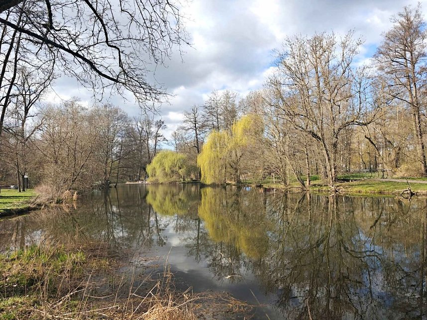 Biberspuren am Gondelteich?