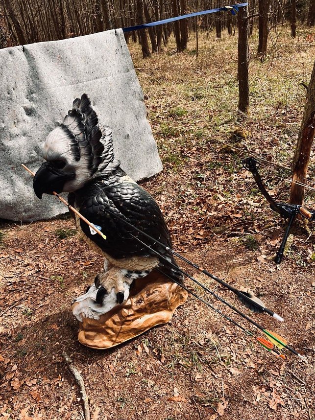 Landesmeisterschaft im 3d in Osthausen