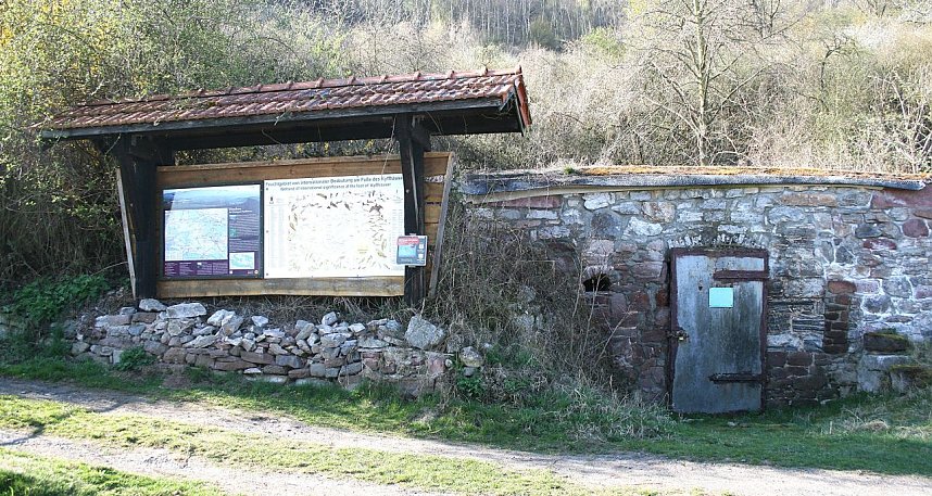 Fledermausschutz an der Numburg