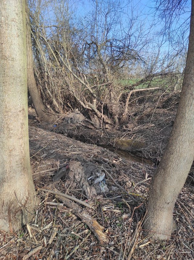 Ufer am R&ouml;ssingsbach