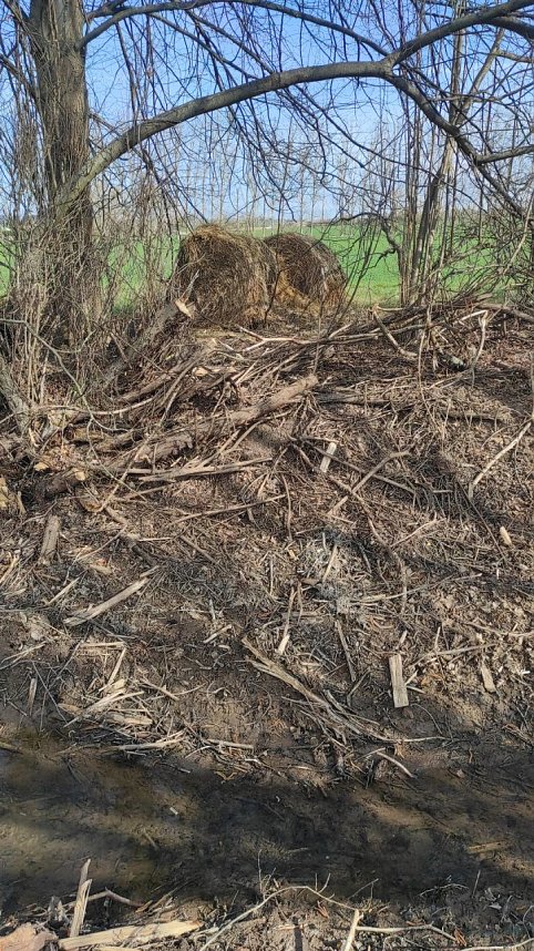 Ufer am R&ouml;ssingsbach