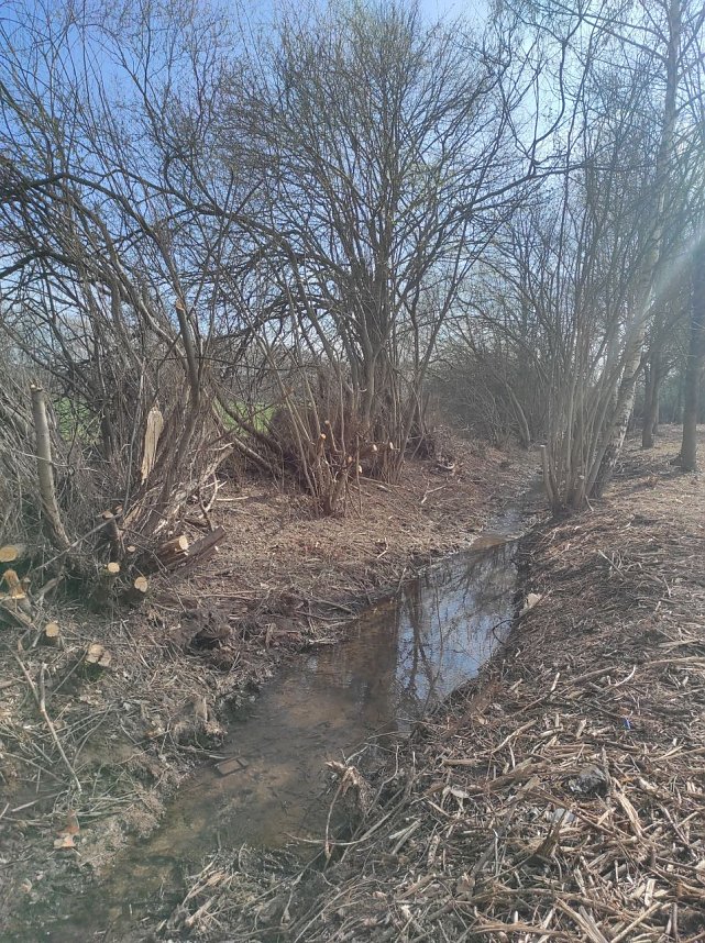 Ufer am R&ouml;ssingsbach