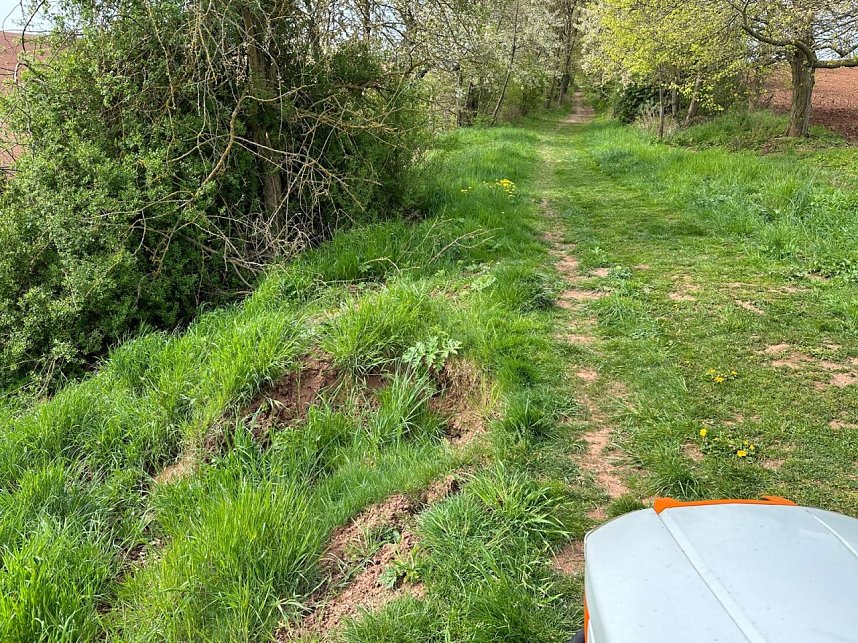 Wanderweg in Ordnung gebracht