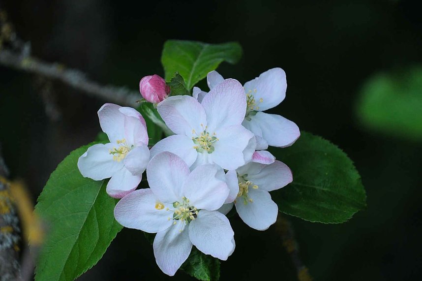 Unterwegs am Rosenteich