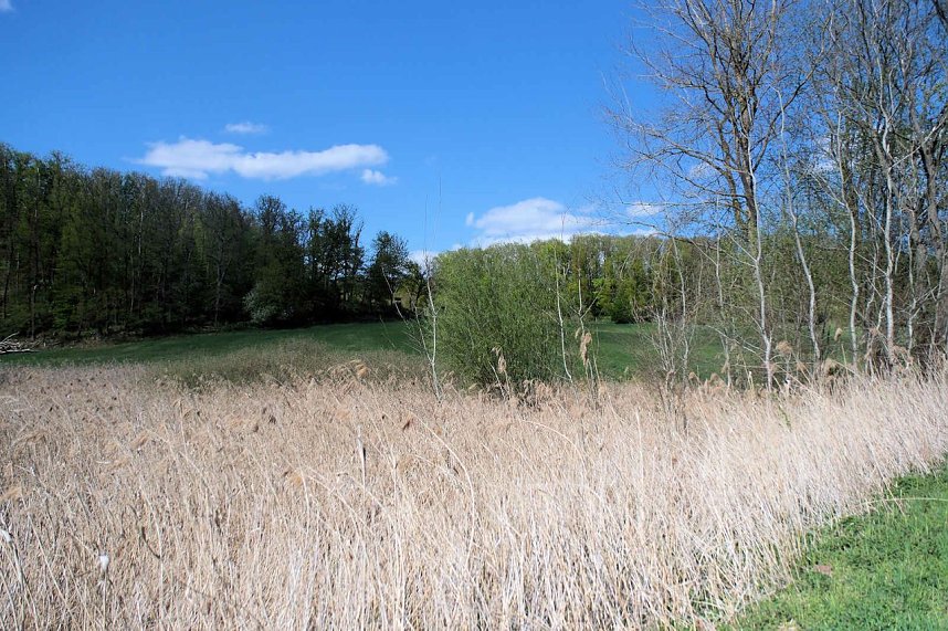 Unterwegs am Rosenteich