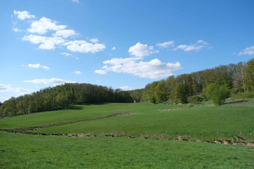 Unterwegs am Rosenteich